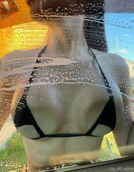 Lily Off Valley star art picture