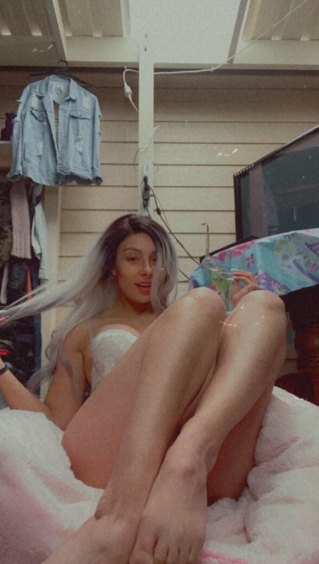 ratchetbratfree pornstar adult image