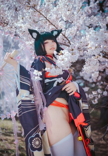 Mimmissu17 beautiful star pics