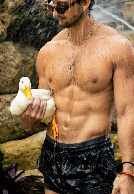 tooturntuncensored star archive