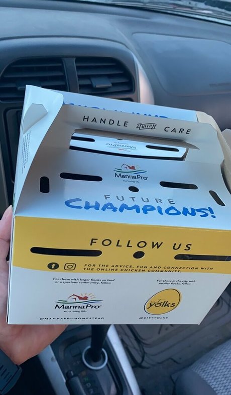 vixenshelbyfree star perfect photos