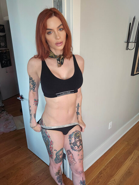 janieblade free star gallery