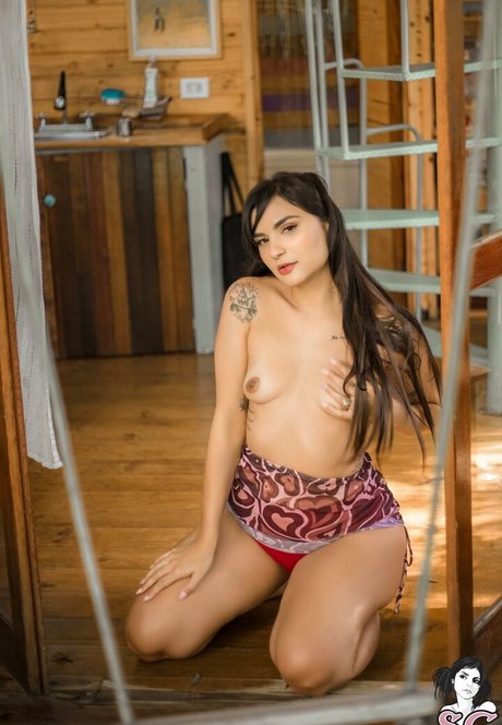 Maria Confort star nice galleries