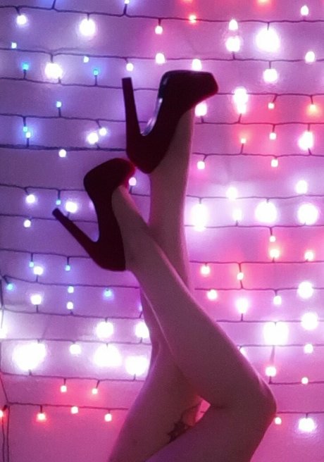 quinntaylorfree beautiful star gallery