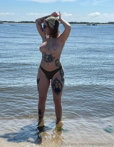 xgingerkitty star beautiful photo