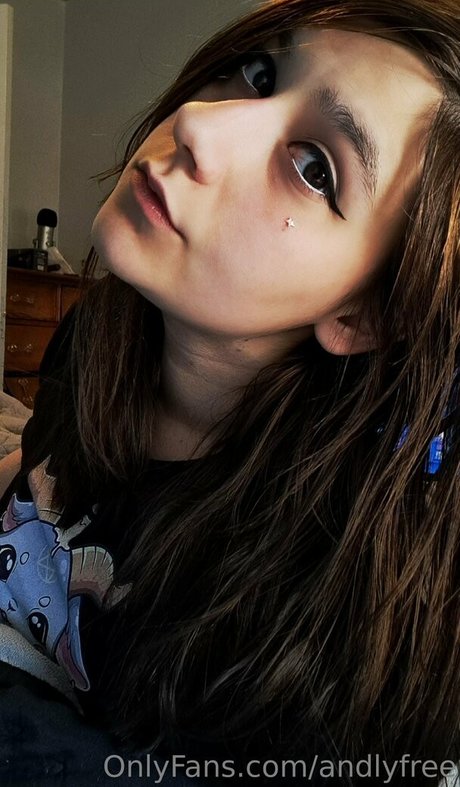 andlyfree high quality star photo