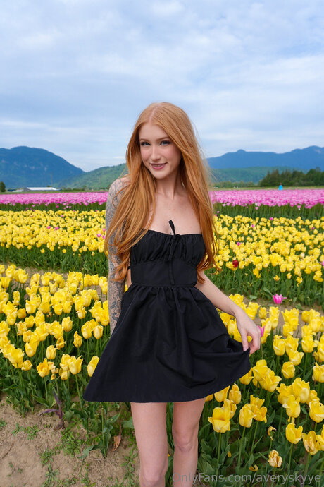 Averyskyye free star pic