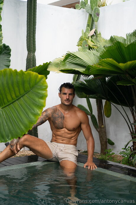 Antonycanvas sex model pics