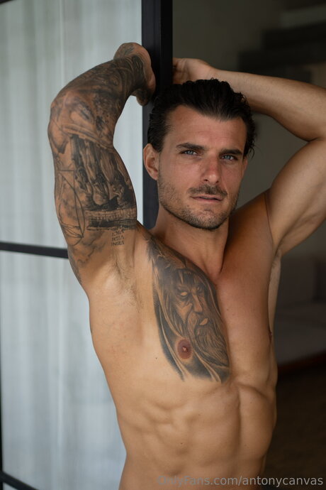 Antonycanvas pornographic star archive