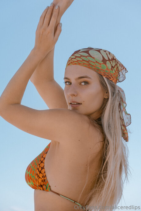 Aliceredlips beautiful star galleries