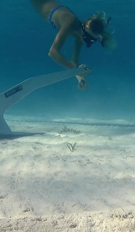 Lauren Landers nude pornstar photos