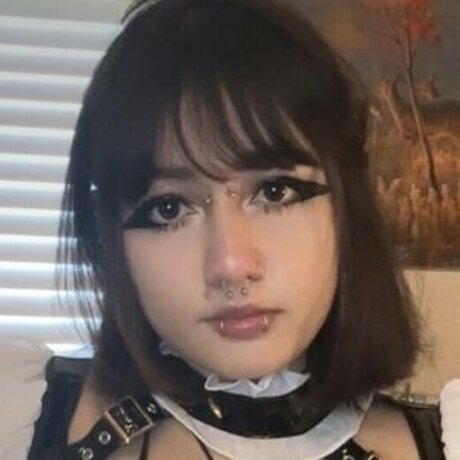 jinxstrrs star picture