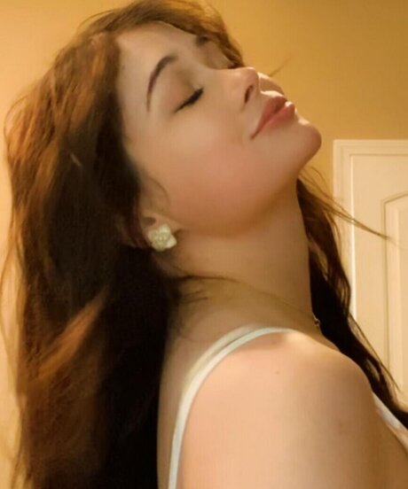 War Hampster star free picture