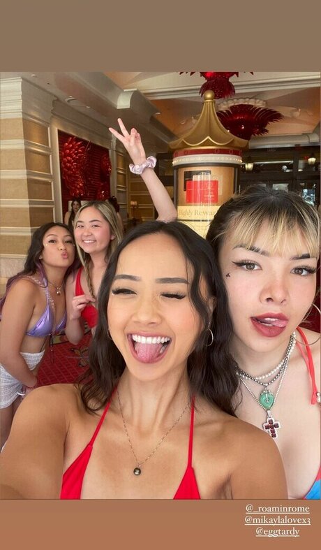 eggtardy star pretty picture