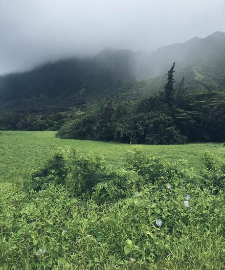 rianabailey model exclusive galleries