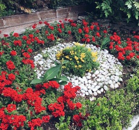 rianabailey hot star images