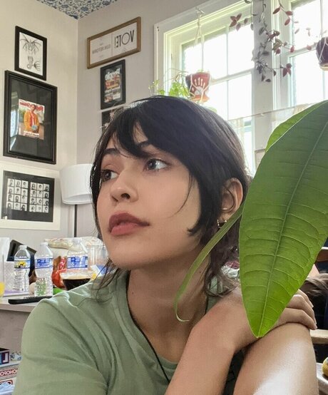 Beta s Inferno star perfect pic