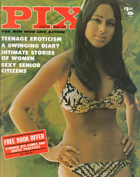 Classic Porn Magazines star best pic