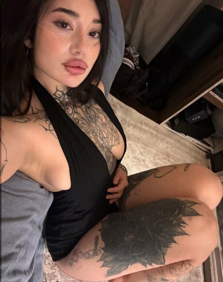 bjdmuse art pornstar archive