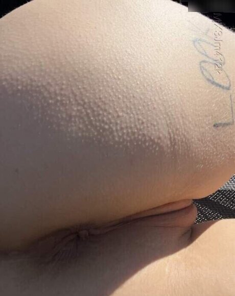 Whylellox xxx star galleries