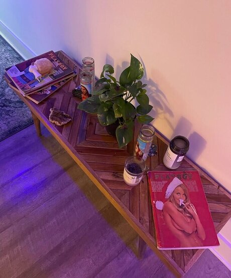 Farah Asteri star pretty img