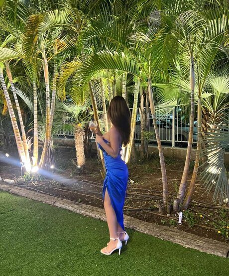 shir vaturi naked pornstar picture