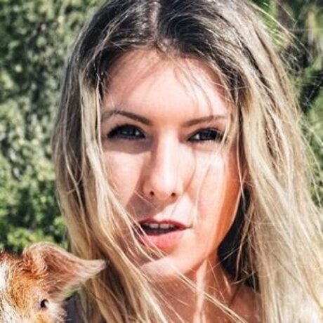 Sabibo star art archive