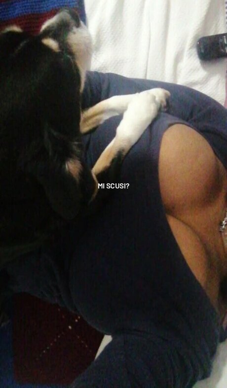 Mery Gatti pornstar top photos