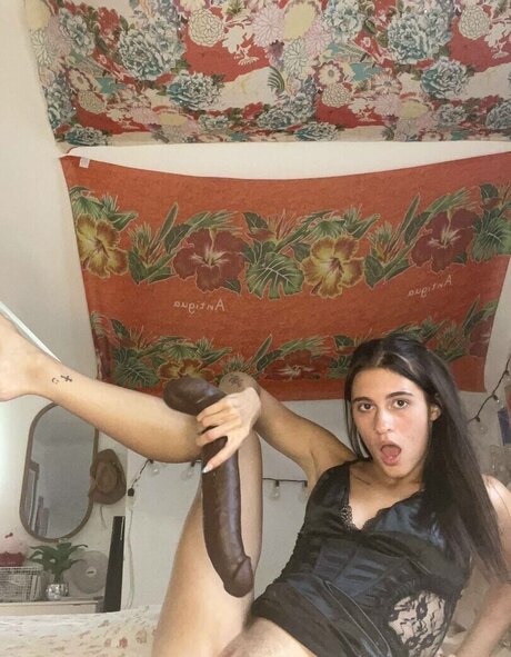 Raegan Owens pornographic star archive