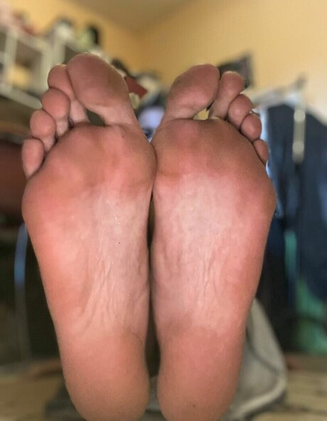 Katarina Trehub porn star img