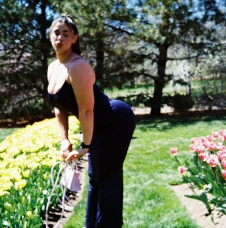 Nikoleashleyy pornstar adult picture