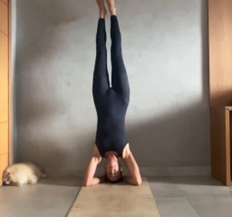 Sheilla Castro top star galleries