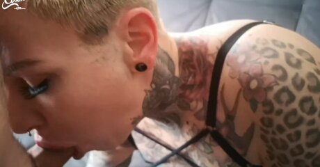 Cat Coxx star top picture