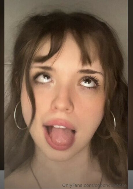 Coochcaboose model art picture