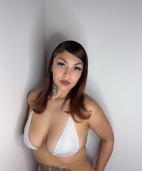 rippnhitzz porn actress archive