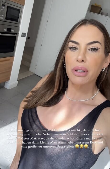 Anna Maria Ferchichi art pornstar image