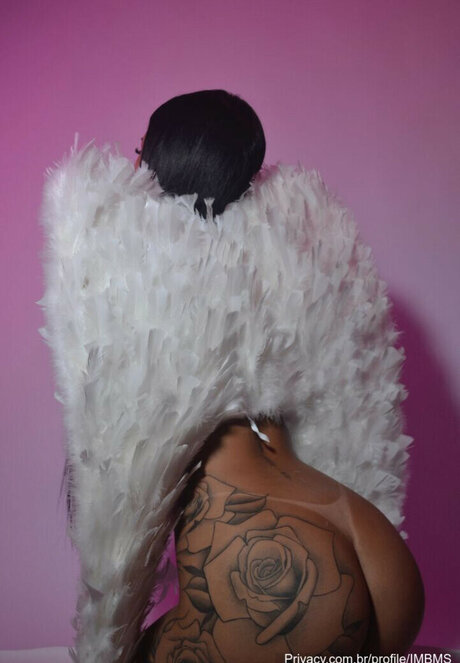 imcbms star exclusive gallery