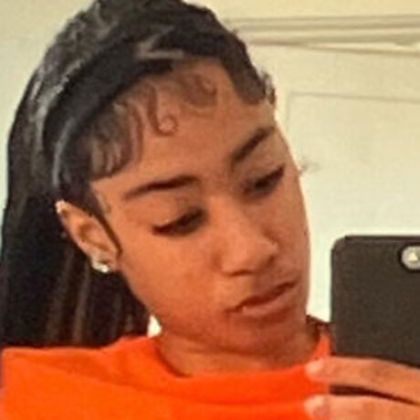 jellyfishlegend star adult galleries