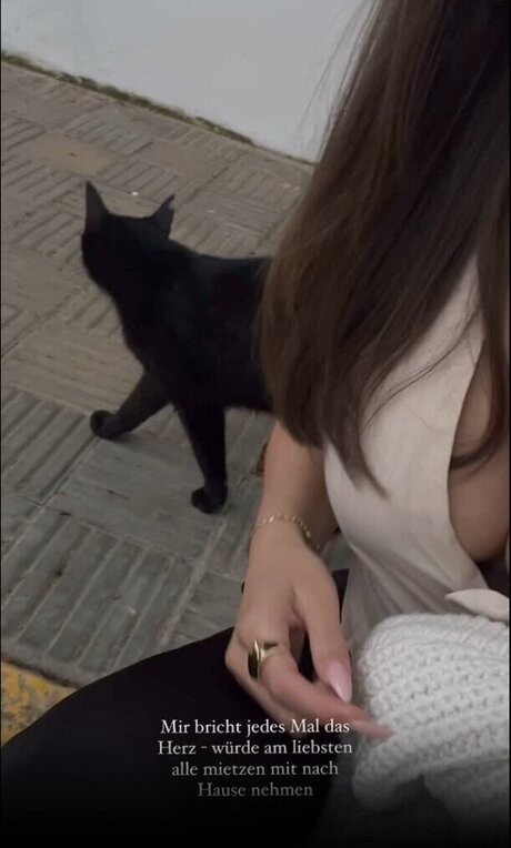 Lisa srmst model art img