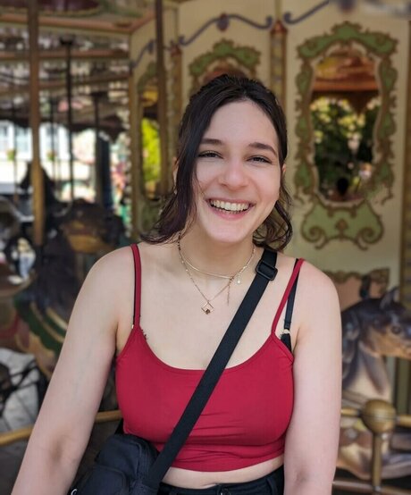 Haselnuuuss star high quality galleries