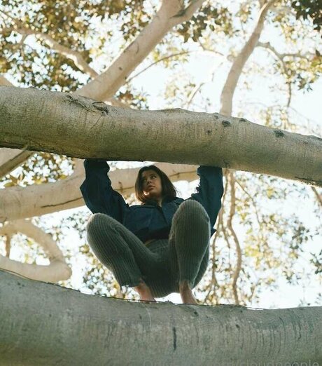 Rumpledtitskin star free pictures