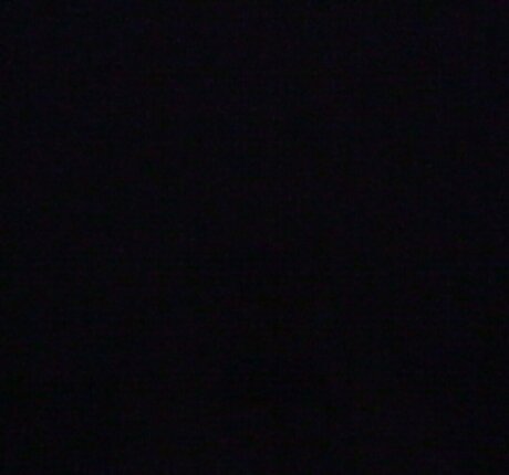 Sydney Harwin porn actress pic