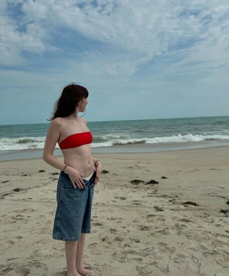 Licetown adult actress galleries