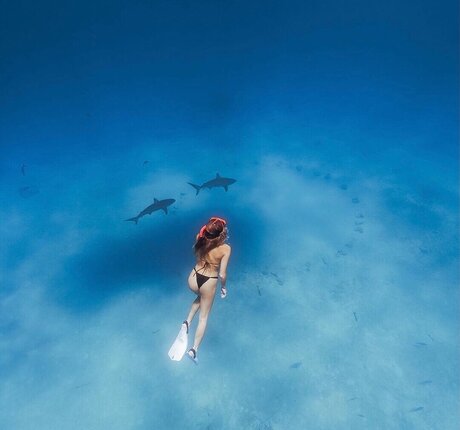 BrieWallz nude pornstar photo