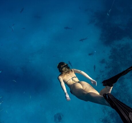 BrieWallz star nude picture