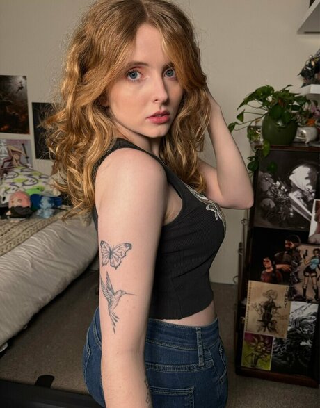 Krysttl model top img