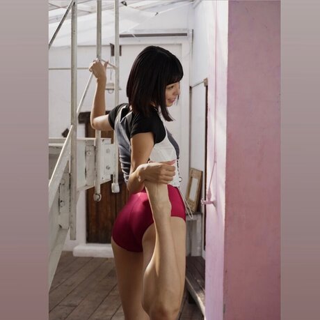 pi anzu star high quality images