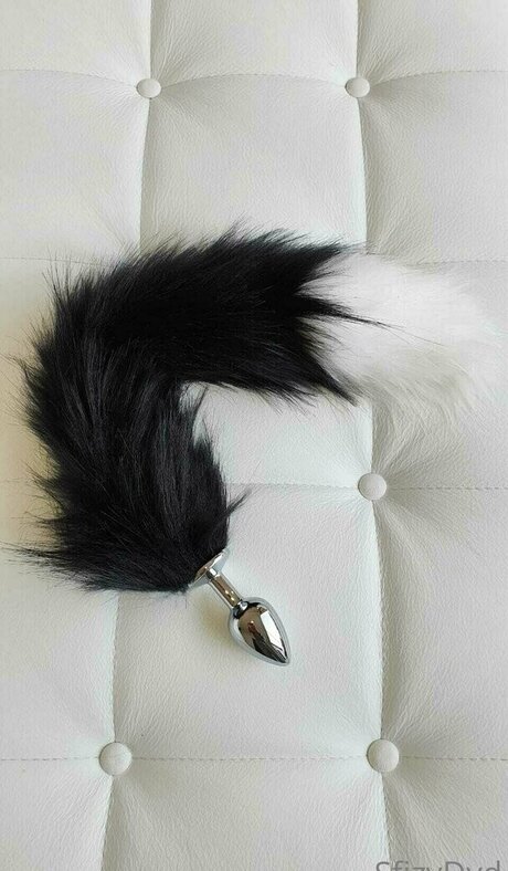 sfizydyd star top photo