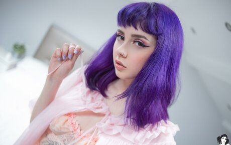 Harefuyuu star adult picture