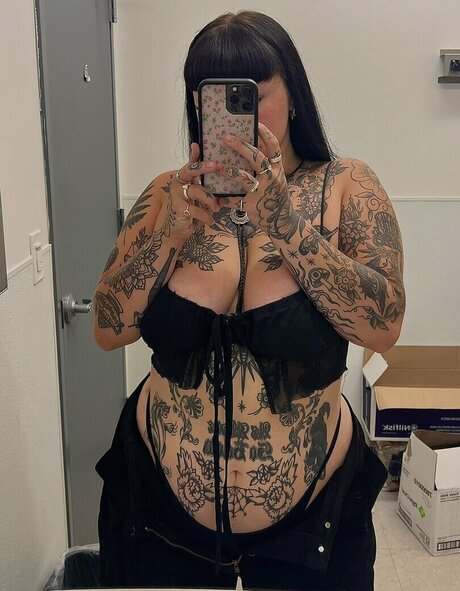 Venicecemetery best star archive